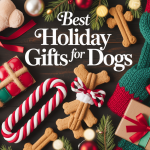 Best Holiday Gifts For Dogs That Every Pet Owner Should Know